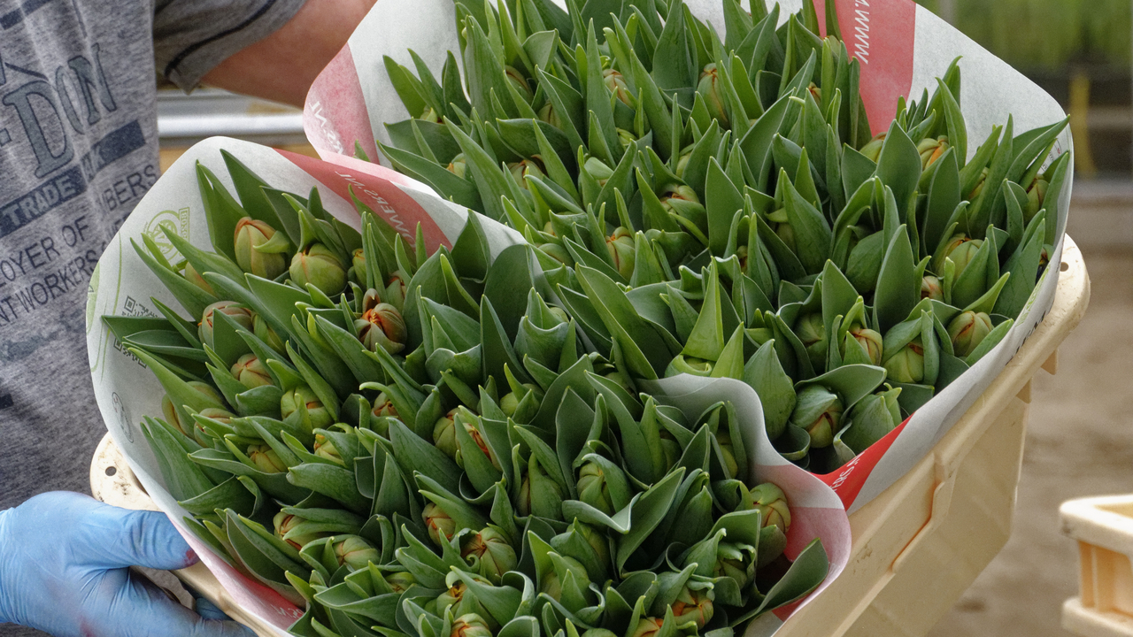 20140417 145853•Medemblik•North Holland•Netherlands